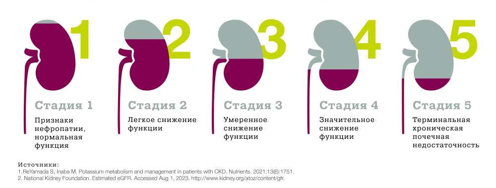 Хроническая болезнь почек